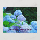 Dreams komen uit True! briefkaarten Blue Hydrangea (Voorkant)