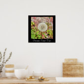 Dreams komen uit waar Inspirerend Poster (Keuken)