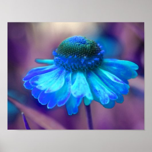 Dreamweaver Blue Zinnia Abstracte bloemkunst Poster (Voorkant)