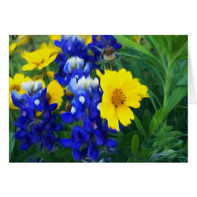 Dreamweaver Bluebonnet Design (Voorkant Horizontaal)