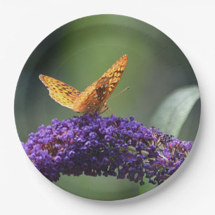 Dreamweaver Butterfly Bord