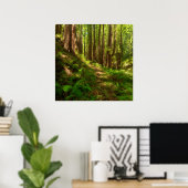 Dreamweaver California Redwood Poster (Thuiskantoor)