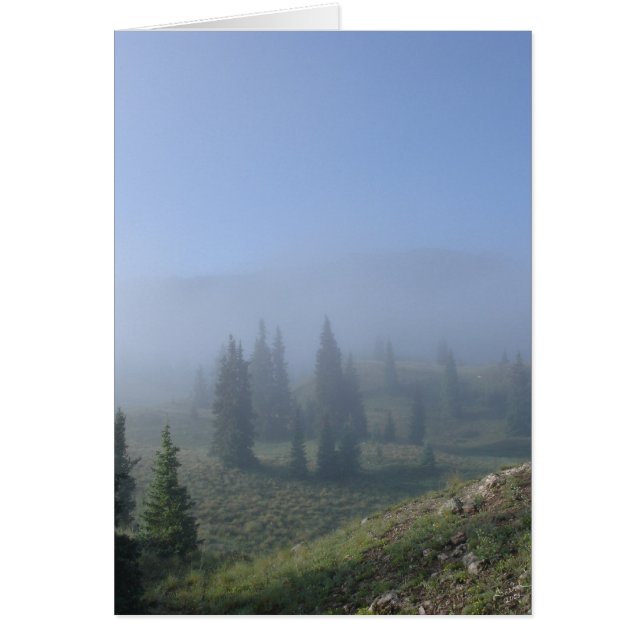 Dreamweaver Days (Voorkant)