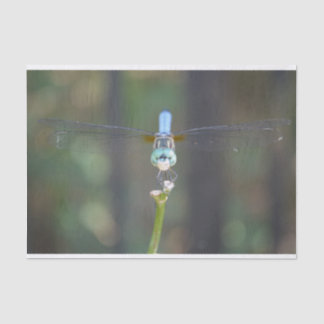 Dreamweaver Dragonfly tissuepapier