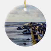 Dreamweaver Folly Seawall Ornament (Achterkant)