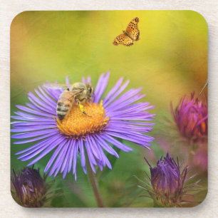 Dreamweaver Garden Onderzetters