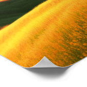 Dreamweaver Golden Hills Poster (Hoek)