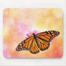 Dreamweaver Monarch Butterfly
