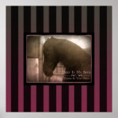 Dreamweaver - Poster (Voorkant)