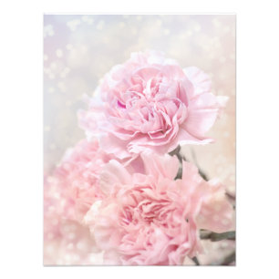Dreamweaver Romantic Roze anjers  Foto Afdruk