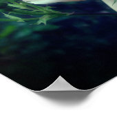 Dreamweaver Roos en knoppen Poster (Hoek)