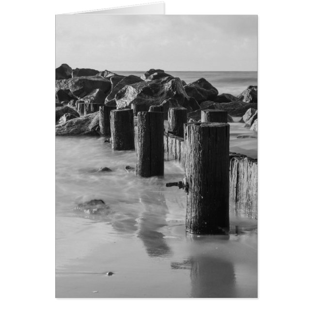 Dreamweaver Seawall Grayscale (Voorkant)