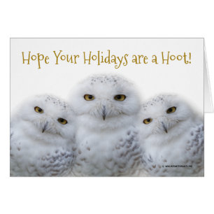 Dreamweaver Snowy heeft de kerstfamilie een hart o