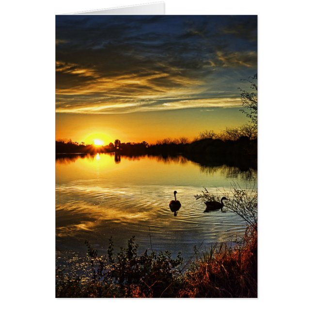 Dreamweaver Sunset (Voorkant)