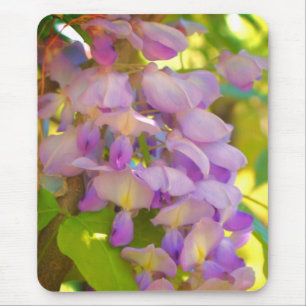 Dreamweaver Wisteria Flower Muismat