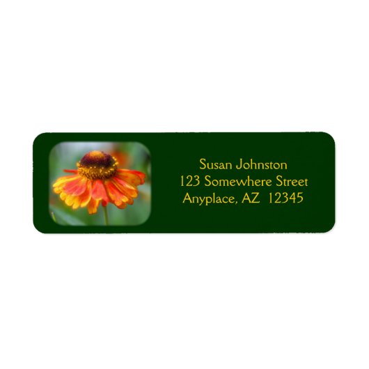 Dreamweaver Zinnia Flower Address Label (Voorkant)