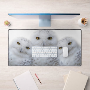 Dreamy Snowy Ows Famille Amusante Avoir un Hoot