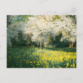 Dreamy spring orchard briefkaart
