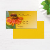 Dreamy Zinnia Flower Nature (Bureau)