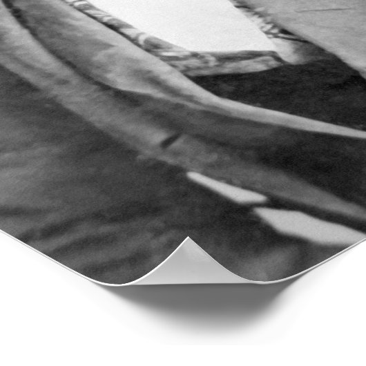 Dred Scott Poster (Hoek)