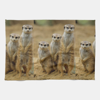 drei Erdmaennchen (Suricata suricatta) Theedoek