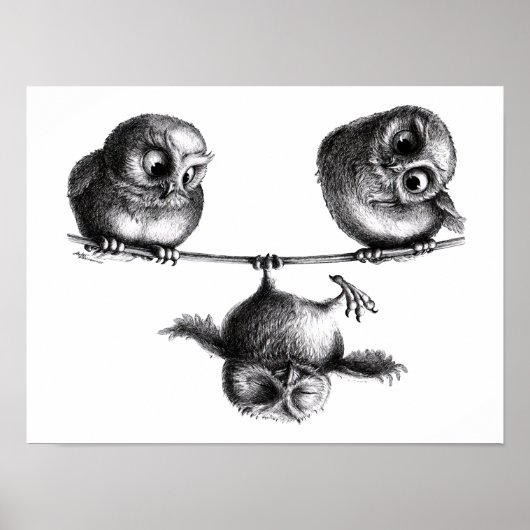 Drei Eulen Freiheit und Spass Poster (Voorkant)