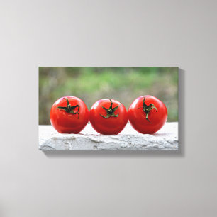 Drei Tomaten auf der Mauer Canvas Afdruk