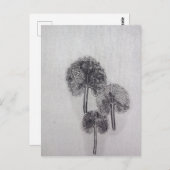 Dreiblatt Briefkaart (Voorkant / Achterkant)