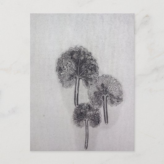 Dreiblatt Briefkaart (Voorkant)