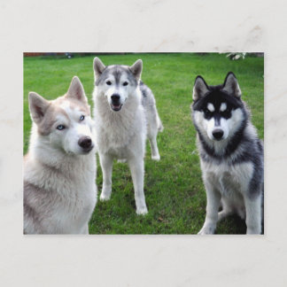 dreierlei briefkaart