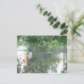 Drenched Bench-foto Briefkaart (Staand voorkant)