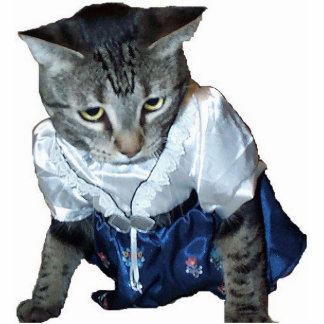 Dress kitty cat-vormige magneet/sierans/sleutelhan fotobeeldje sleutelhanger