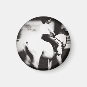 Dressage Abstract Magneet