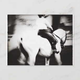 Dressage Briefkaart