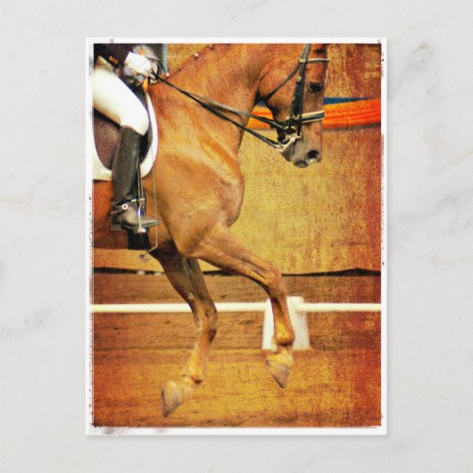 Dressage Briefkaart (Voorkant)