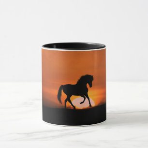 Dressage Horse and Sunrise Mok