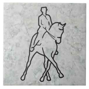 Dressage Horse & Rider - Half-pass Tegeltje
