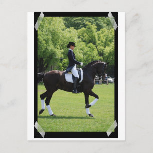 Dressage Horse Show Rider sur carte postale