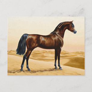 Dressage Show Horse Briefkaart
