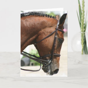 Dressuurpaard Wenskaart Kaart