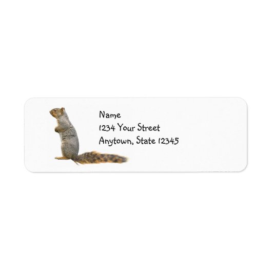 Dribborn Squirrel Return Address Labels (Voorkant)