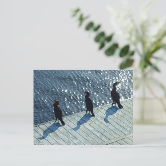Drie aalscholvers briefkaart (Staand voorkant)