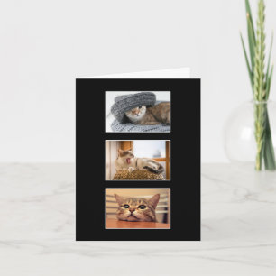 Drie Aangepaste Kat Foto Hartelijk dank Kaart
