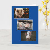 Drie Aangepaste Varken Foto Verjaardag Kaart (Gele Bloem)