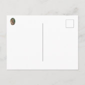 Drie Alert Fox Kits Briefkaart (Achterkant)