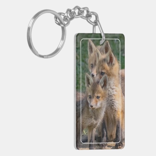 Drie Alert Fox Kits Sleutelhanger (Voorkant Links)