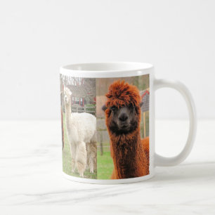 Drie Alpacas ~ mok