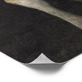 Drie Amigos-Bull-Koeien die de wilde kunst van het Poster (Hoek)