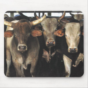 Drie Amigos Bulls-kodeo westerne Mousepad Muismat