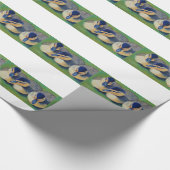 Drie Amigos Ducks Chicken Cadeaupapier (Hoek)